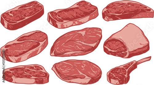 set of illustration of meat. isolated on a transparent background. png. vector set
