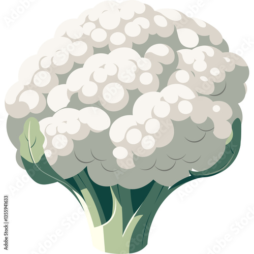 realistic cauliflower vegetable in color block style with clear background editable cartoon vector illustration
