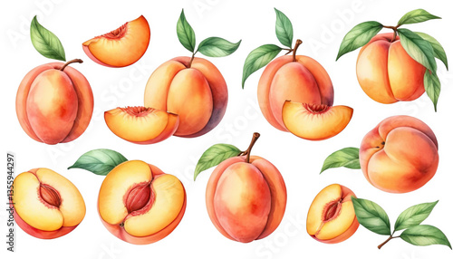 Watercolor Illustration of Ripe Peaches with Leaves on Transparent Background