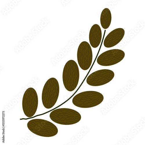 coffee beans and leaves
