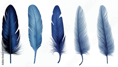 gold purple yellow feather on white background