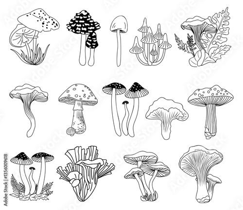 Set of different Forest mushrooms hand drawn line art vector illustrations. Collection of Outline black ink sketch drawings isolated on transparent background. Contour black line monochrome.