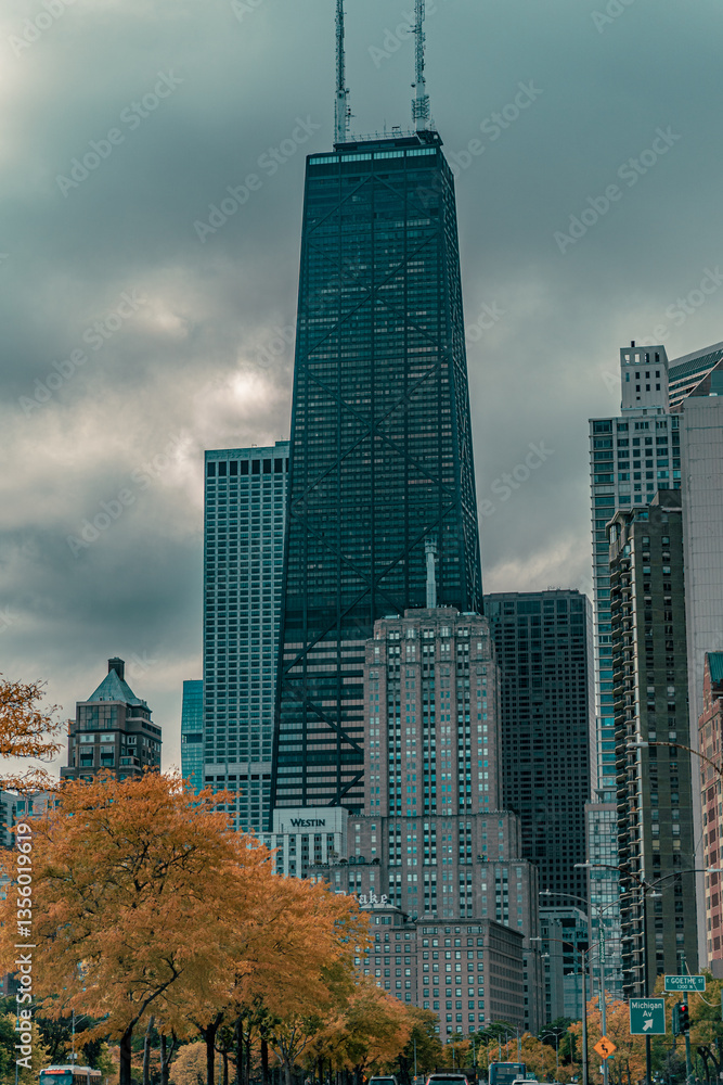 Naklejka premium landscape of downtown chicago