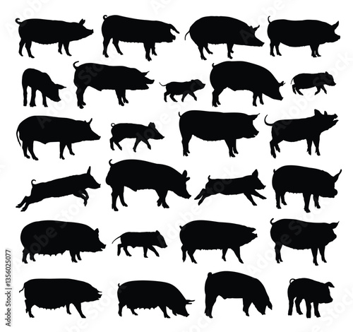 The big set of silhouettes domestic pigs.
