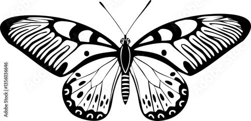 Butterfly SVG PNG Line Art Bundle set Vector 