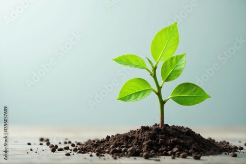 Wallpaper Mural Delicate young tree, single sprout against pure white backdrop, image, forest Torontodigital.ca