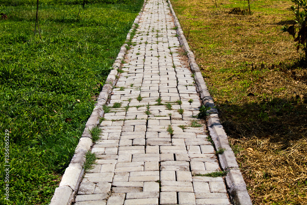 A narrow concrete walkway with interlocking pavers, partially overgrown with grass, surrounded by green and dry grassy areas. A narrow concrete walkway with interlocking pavers, partially overgrown with grass, surrounded by green and dry grassy areas.