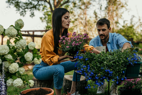 Couple gardening together, planting flowers in pots in backyard garden photo