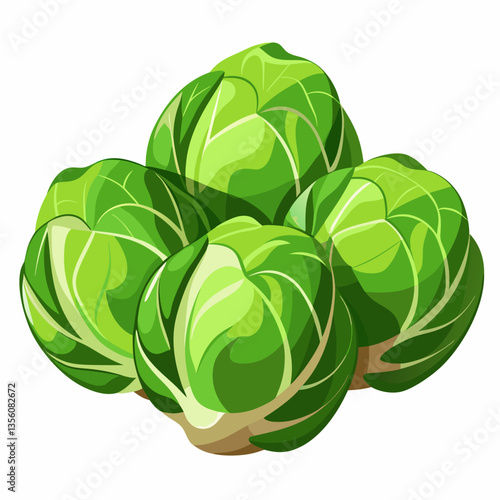 Brussels Sprouts Vector Design - High-Quality Graphics for Your Creative Projects