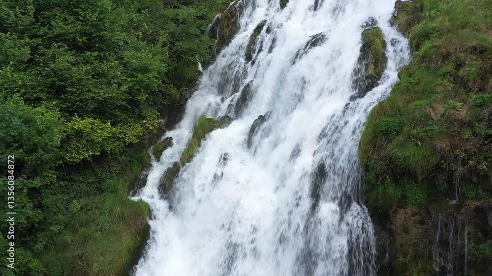 Natural Wonder: Close-Up of Flowing Water and Plants in the Italian Alps Natural Wonder: Close-Up of Flowing Water and Plants in the Italian Alps