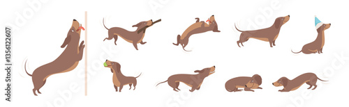 Brown Funny Dachshund Dog and Puppy in Different Pose Vector Set