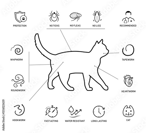 Set of vector icons focuses on cats parasites and worms. The icons are designed to be versatile, suitable for use in informational materials, veterinary goods, pet care, apps, and more. EPS10.