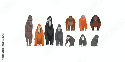 Print  Common apes vector illustration set. Ape species cartoon clipart set in flat style. Gibbon, orangutan, gorilla, chimpanzee, bonobo flat vector design.