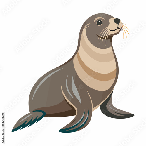 Sea lion vector and illustration.