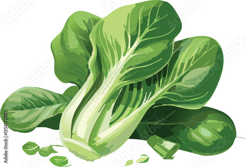 Bok Choy isolated on a transparent or white background, vector illustration