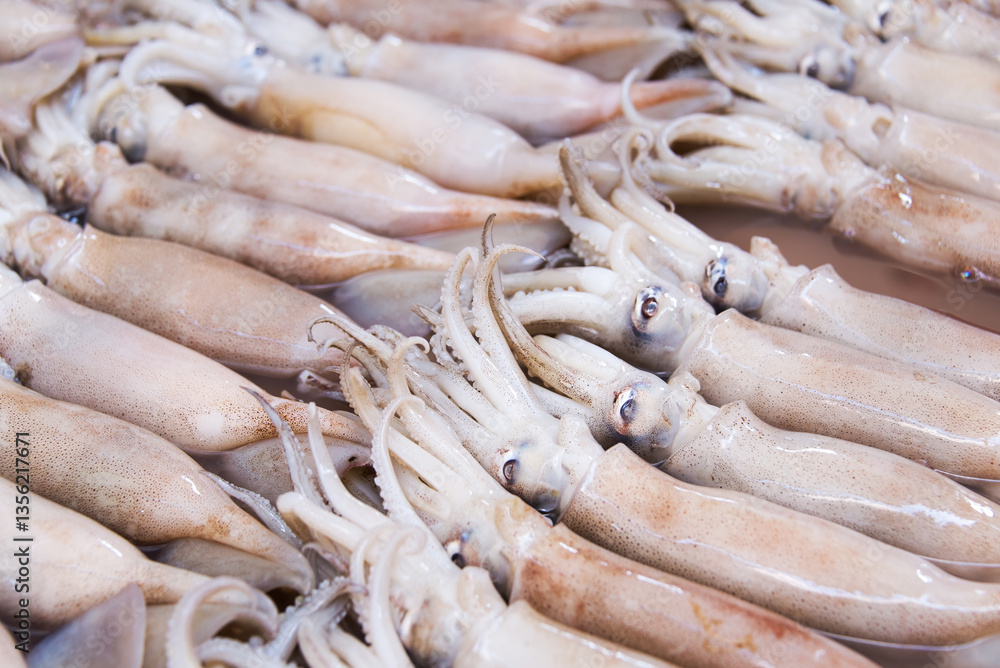 A bunch of squid in supermarket for sale A bunch of squid in supermarket for sale