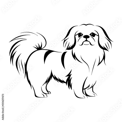 Tibetan spaniel dog standing proudly with tail curled in a relaxed posture