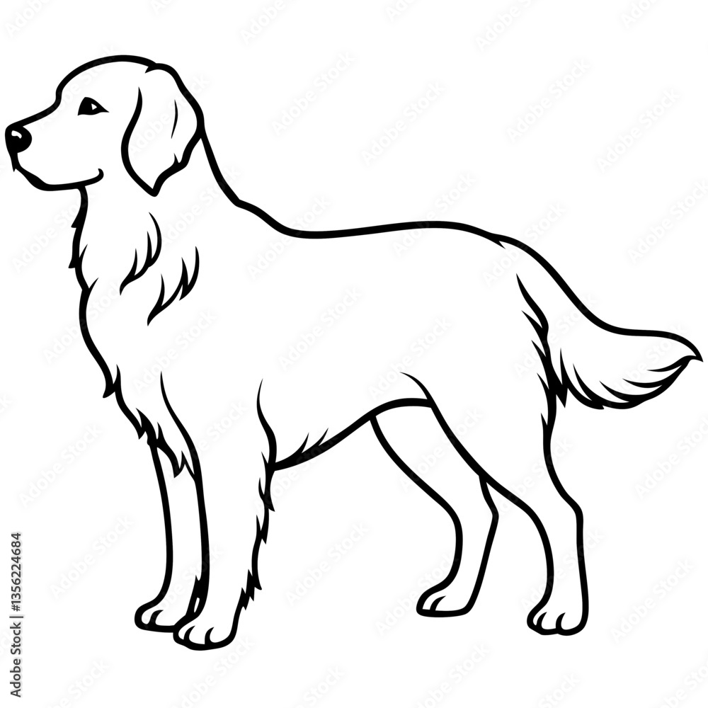 olden Retriever Dog silhouette vector black outline, white background olden Retriever Dog silhouette vector black outline, white background