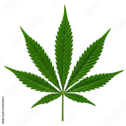Vibrant Green Cannabis Leaf isolated on white or transparent png background