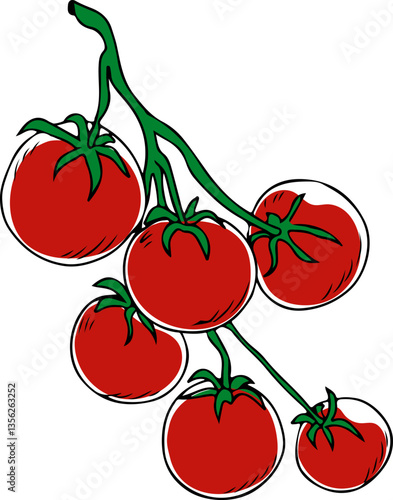 Vector doodle style hand drawn branch of cherry tomatoes isolated on a white background