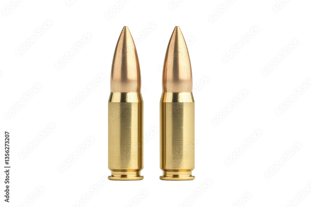 Two bullets are shown on a white background, isolated Two bullets are shown on a white background, isolated