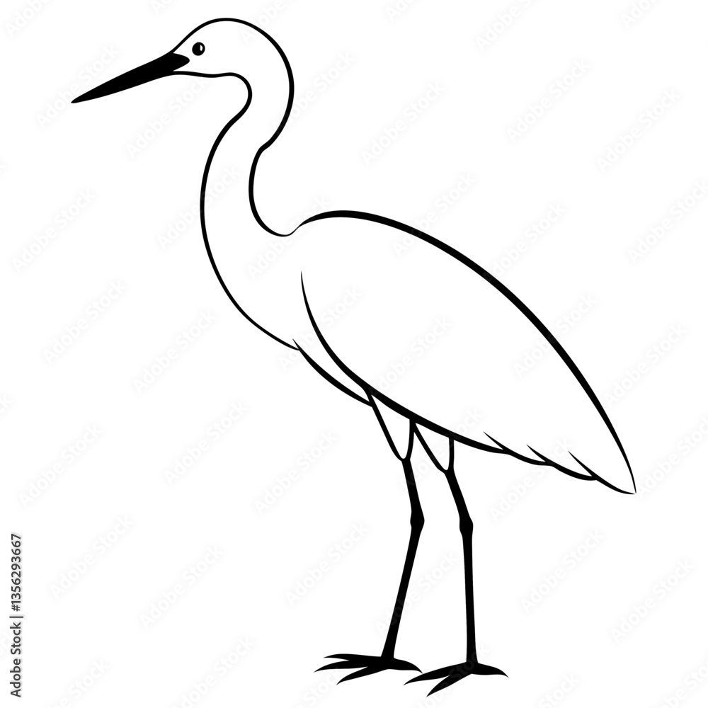 Fototapeta premium Snowy Egret silhouette vector black outline, white background
