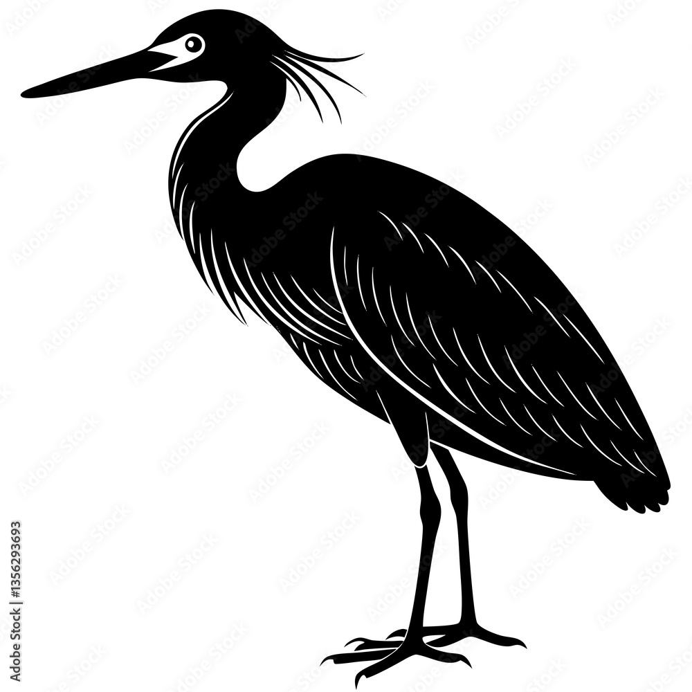Fototapeta premium Snowy Egret silhouette vector black outline, white background