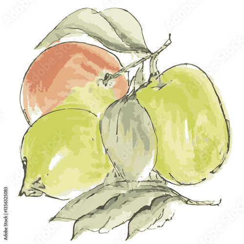 Loose hand-drawn apple illustration. Organic. Watercolor. Coloring. Color. Vector