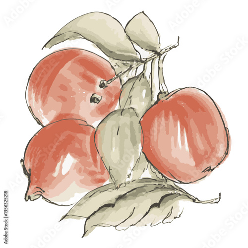 Loose hand-drawn apple illustration. Organic. Watercolor. Coloring. Color. Vector