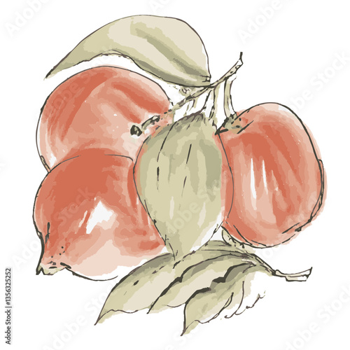 Loose hand-drawn apple illustration. Organic. Watercolor. Coloring. Color. Vector