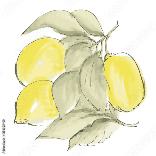 Loose hand-drawn lemon illustration. Organic. Watercolor. Coloring. Color. Vector