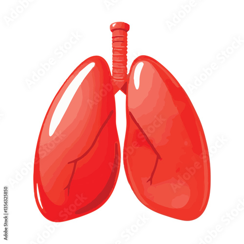 Red lung illustration against white background highlights human respiratory system anatomy and health