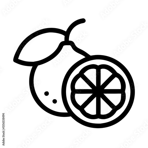 Citrus fruit illustration with slices in simple line art style  