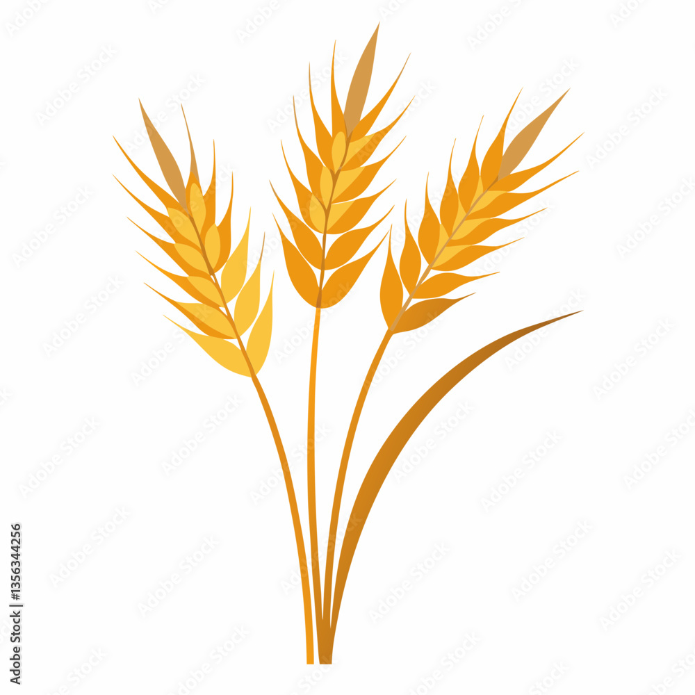 golden wheat stalks with swaying feathery tops golden wheat stalks with swaying feathery tops