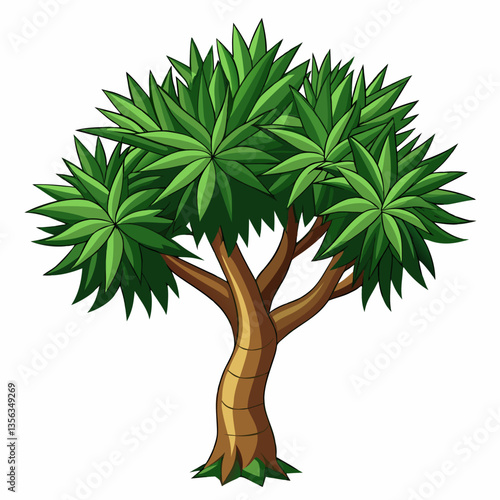 exotic dragon tree with spiky  fan shaped leaves