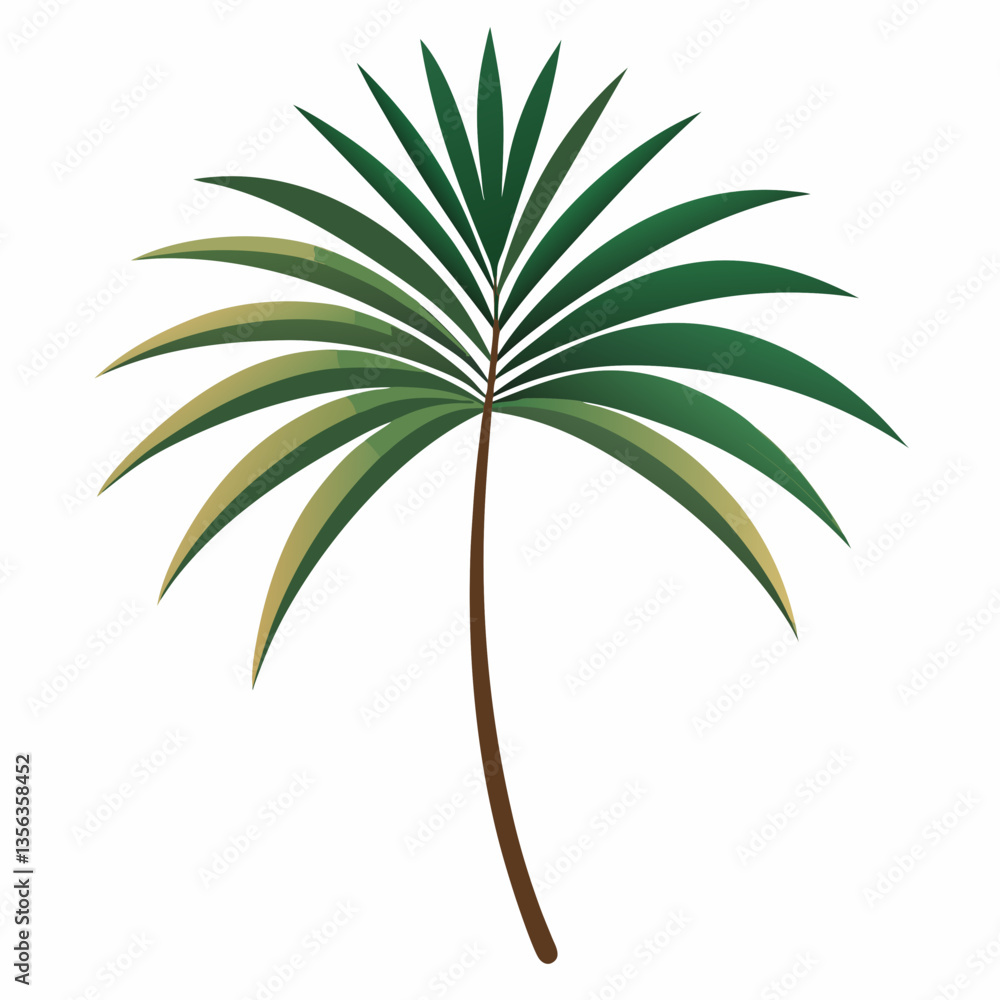 elegant palm frond with long slender leaves elegant palm frond with long slender leaves