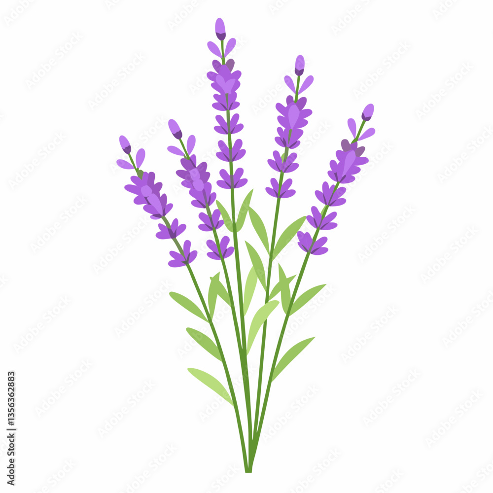 delicate lavender sprigs with tiny purple flowers delicate lavender sprigs with tiny purple flowers