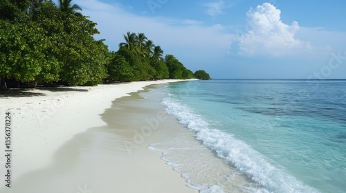 Fototapeta Naklejka Na Ścianę i Meble -  Idyllic tropical seascape with pristine white sand beach and turquoise water