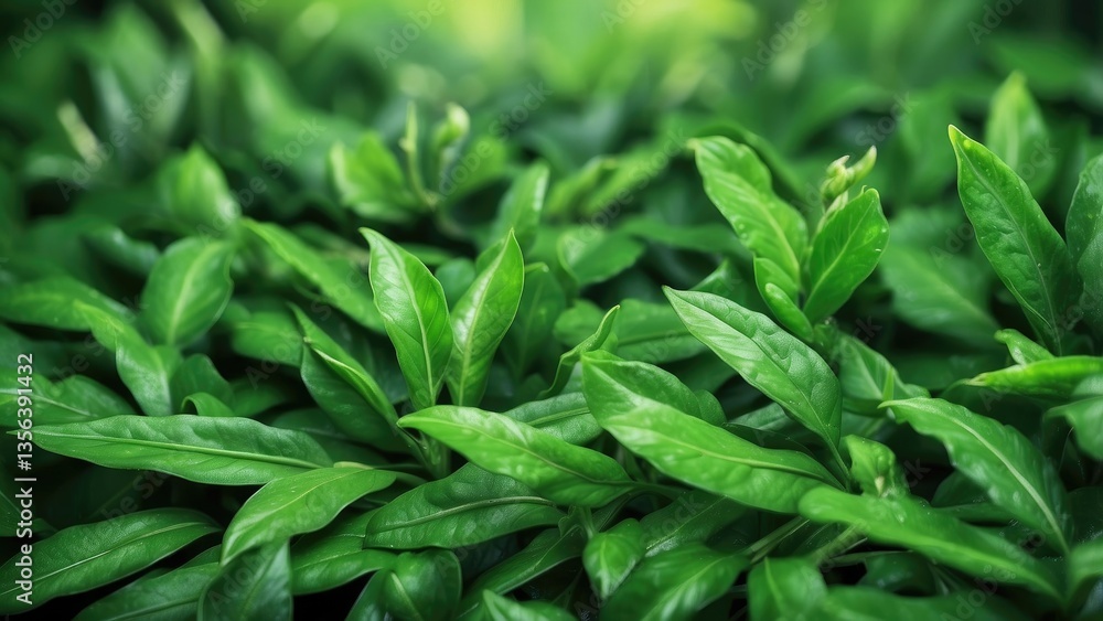 Green leaves background with three upward-pointing arrows also composed of leaves Green leaves background with three upward-pointing arrows also composed of leaves
