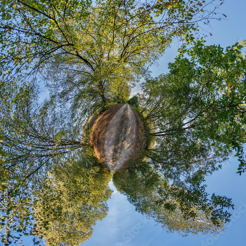 tiny planet transformation of spherical panorama 360 degrees. Spherical abstract aerial view with trees in forest with clumsy branches in blue sky. Curvature of space.