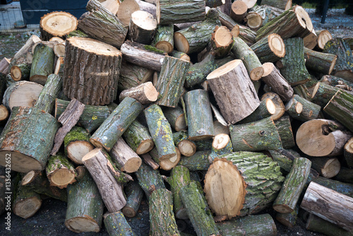 Obraz na płótnie Firewood, wood delivery for the new season.
w salonie
