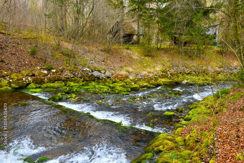 View of Lipnica river with moss covered rocks in Gorenjska, Slovenia View of Lipnica river with moss covered rocks in Gorenjska, Slovenia