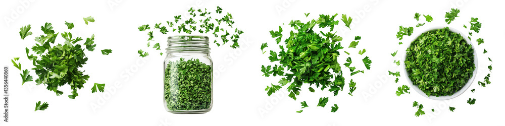 This image depicts an assortment of fresh vibrant green parsley leaves arranged in a glass jar against a bright clean background The parsley leaves are delicate and neatly presented This image depicts an assortment of fresh vibrant green parsley leaves arranged in a glass jar against a bright clean background The parsley leaves are delicate and neatly presented