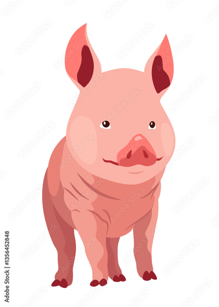 Fototapeta premium Pig set flat cartoon isolated on white background. Pink pig vector illustration
