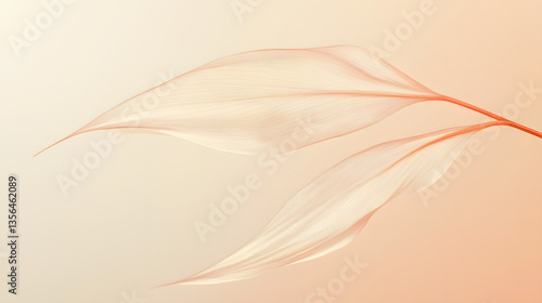 closeup, nature, flora, leaf, grass, flowers, isolated, spring, stem, bud, bloom, fresh，design, bright, illustration，pattern, film, abstract, vector，pattern, texture
