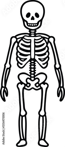 skeleton silhouette vector,Human skeleton clip art