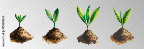 Watercolor PNG set of growing green plants. Infographic elements for planting, tree growth, agriculture, environmental conservation, and reforestation concepts.