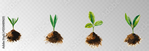Watercolor PNG set of growing green plants. Infographic elements for planting, tree growth, agriculture, environmental conservation, and reforestation concepts.