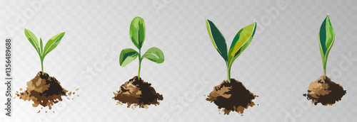Watercolor PNG set of growing green plants. Infographic elements for planting, tree growth, agriculture, environmental conservation, and reforestation concepts.