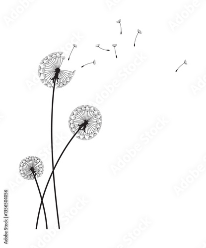 Obraz na płótnie Dandelion wind blow background. Black silhouette with flying dandelion buds on white. Abstract flying seeds. Decorative graphics for printing. Floral scene design w salonie